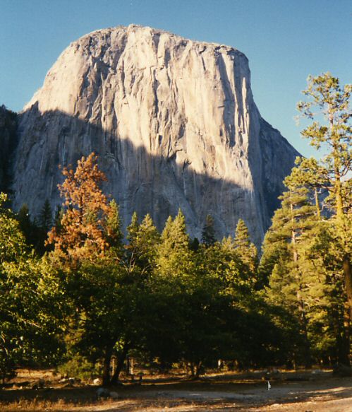 P.N.Yosemite - El Capitan