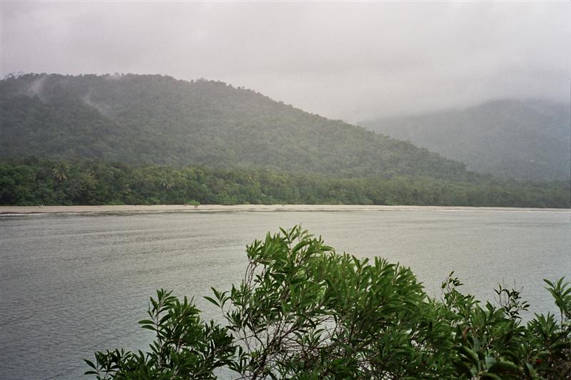 Daintree N.P. - Cape Tribulation