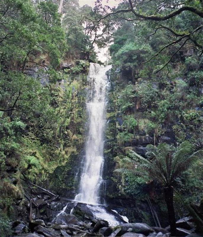Erskine Falls (Lorne)