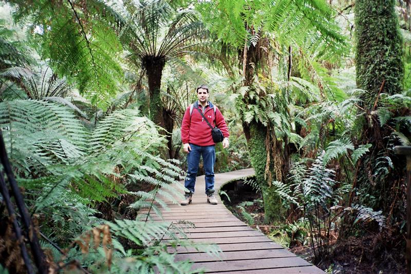 Otway NP - Maits Rest