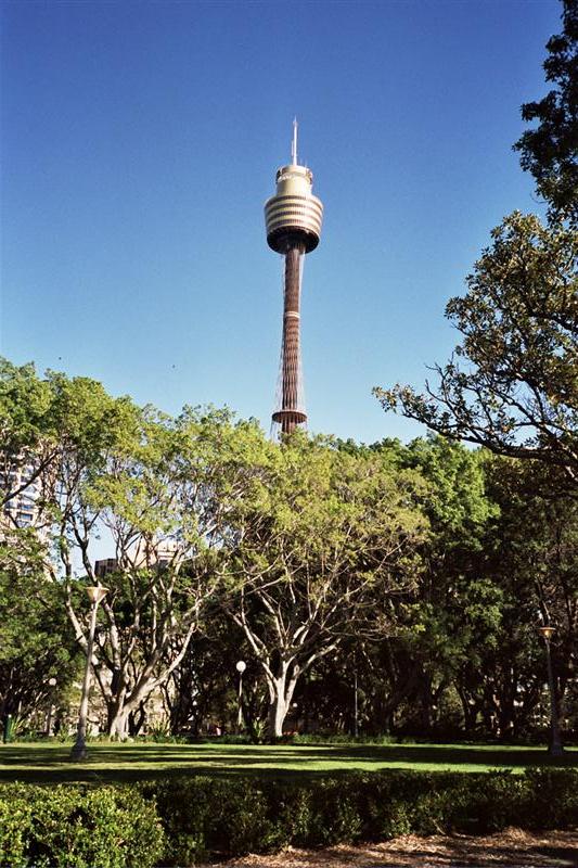 Sydney - AMP Tower and Archibald Fountain