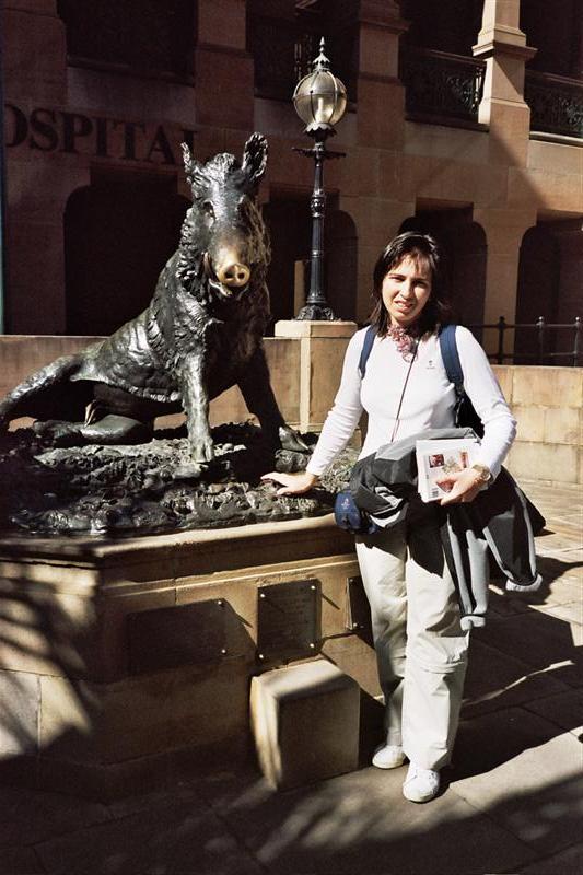 Sydney - Il Porcellino at Sydney Hospital