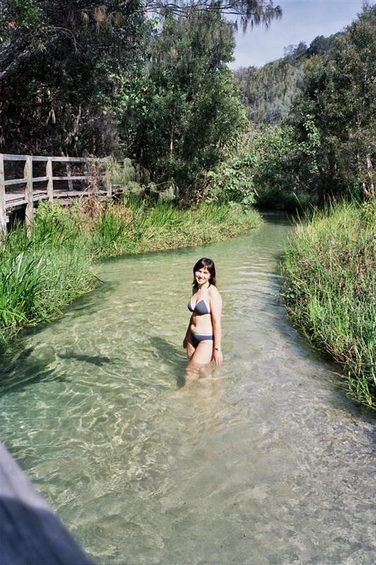 Fraser Island - Eli Creek