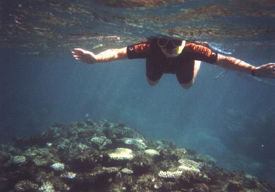 Gran Barrera de Coral