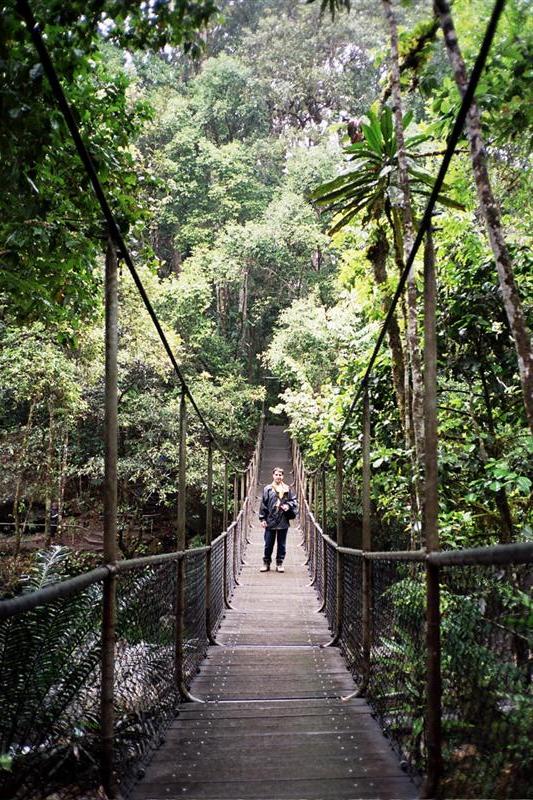Daintree N.P. - Mossman Gorge