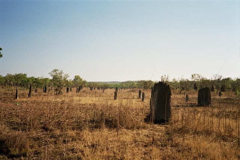Litchfield N.P. - Magnetic Mounds