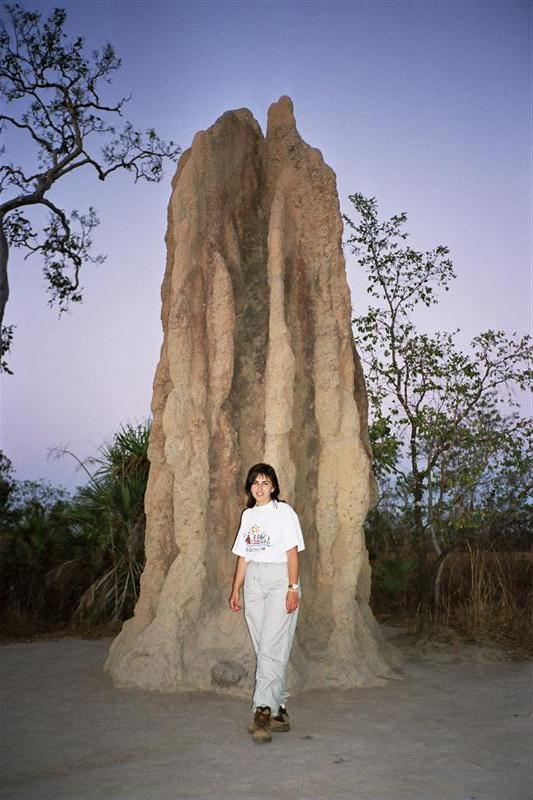 Litchfield N.P. - Termite