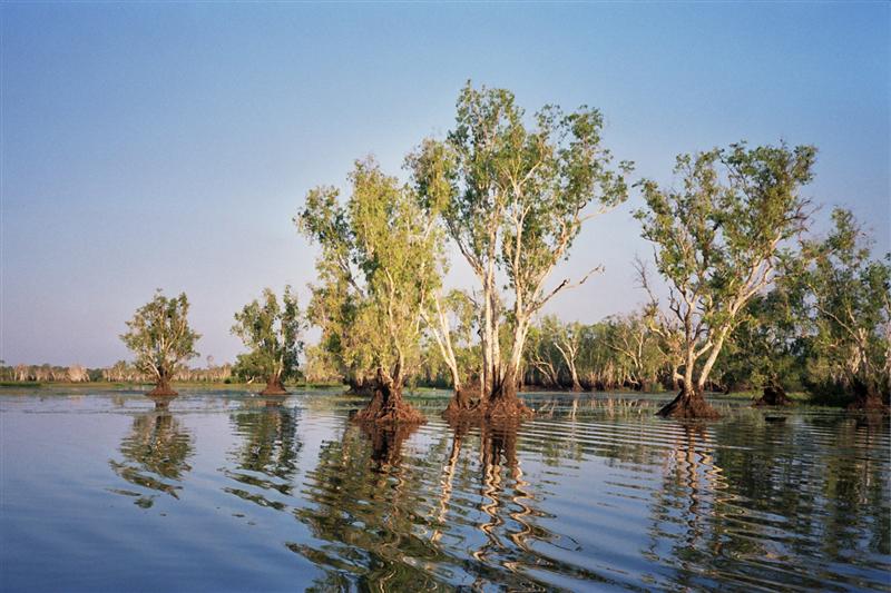 Kakadu N.P. - Yellow Waters