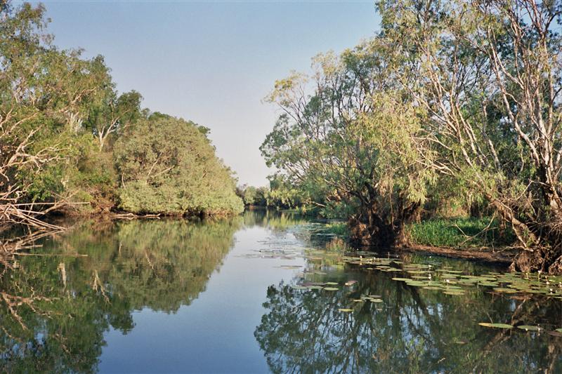 P.N.Kakadu - Yellow Waters