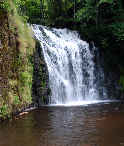 Cascade du Bois de Chaux