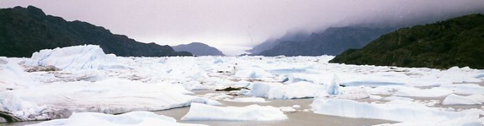 P.N.Torres del Paine - Lago Grey