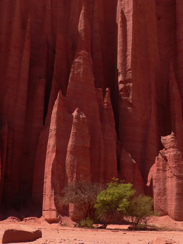 Talampaya - Cathedral