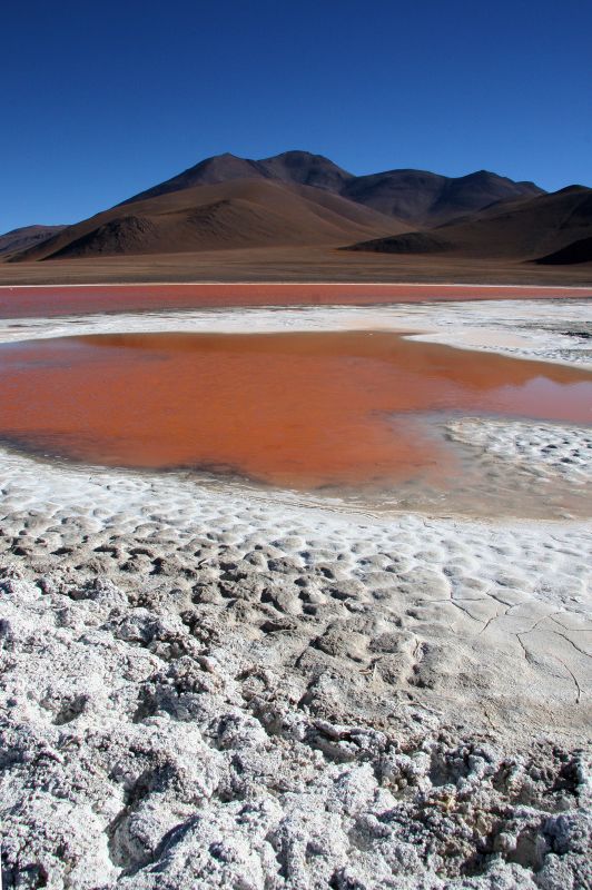 Laguna colorada