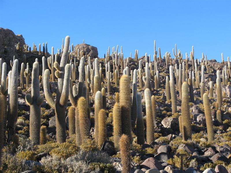 Salar de Uyuni