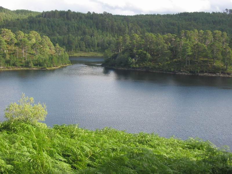 Glen Affric