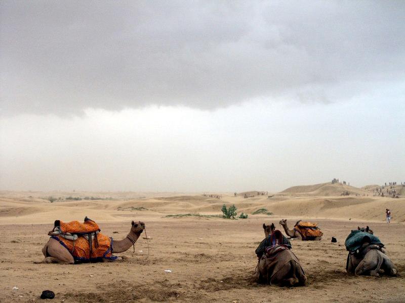 Thar desert