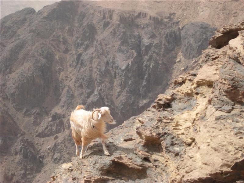 Petra - Vista del fin del Mundo