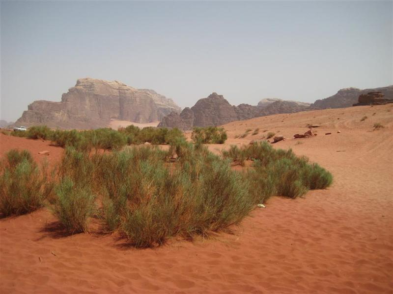 Wadi Rum - Arena de colores