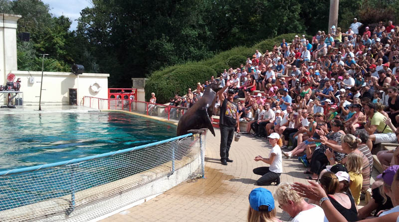 Parque Walibi - Le Show des otaries