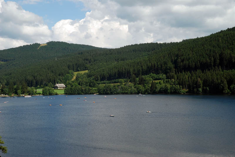 Lago Titisee