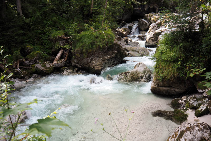 Zauberwald - Ramsauer Ache River