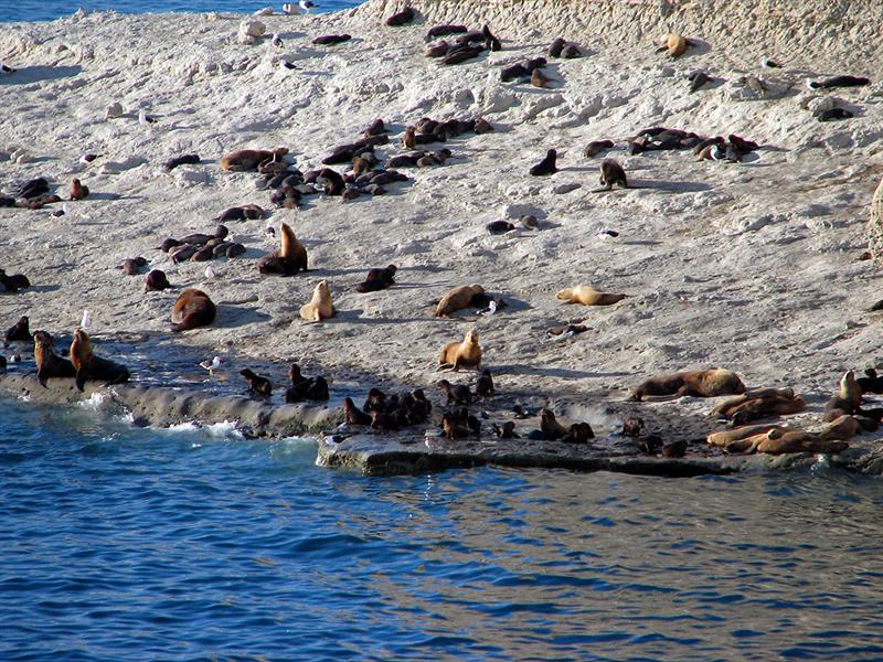Pen&iacute;nsula Vald&eacute;s<BR>Punta Pir&aacute;mides