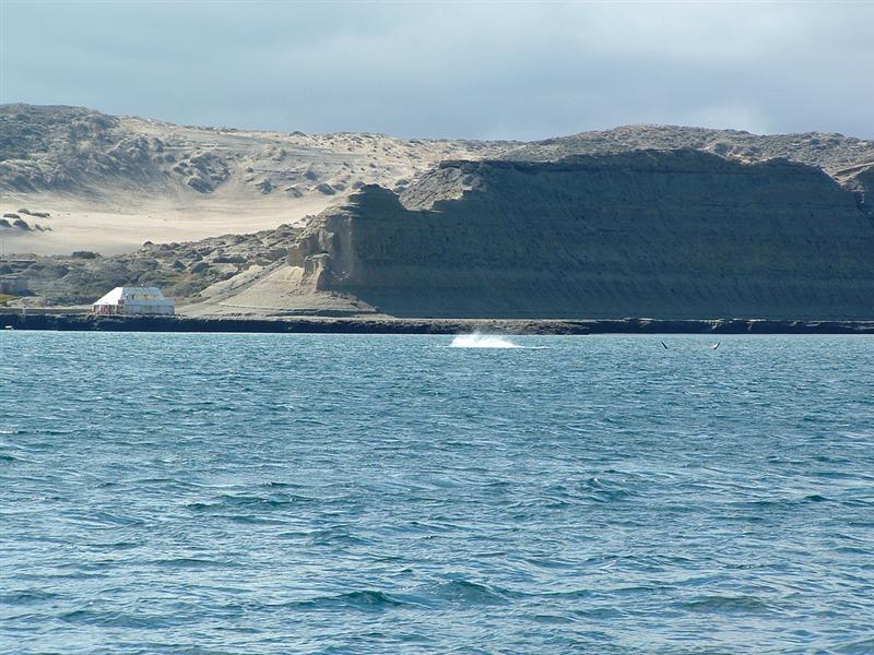 Pen&iacute;nsula Vald&eacute;s