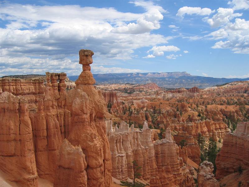 Hoodoos at Bryce Canyon