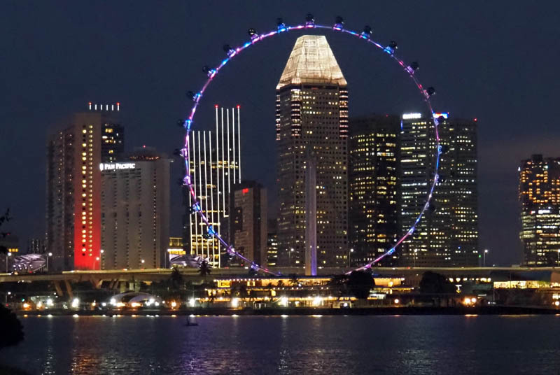Singapore Flyer by night